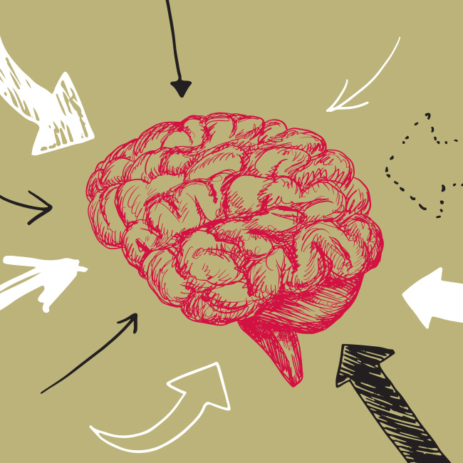 Illustration of arrows pointing to a brain